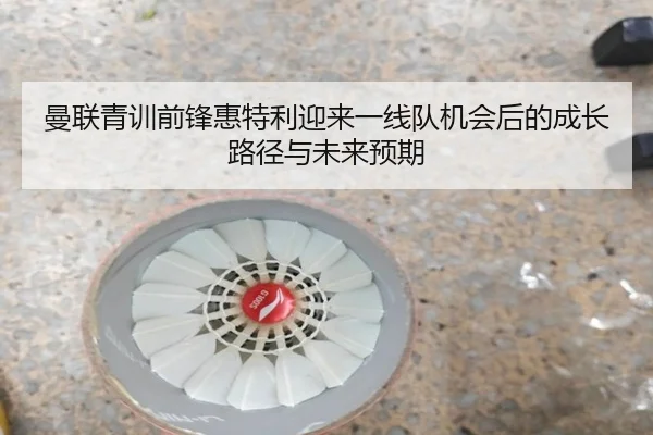 曼联青训前锋惠特利迎来一线队机会后的成长路径与未来预期 | kaiyun
